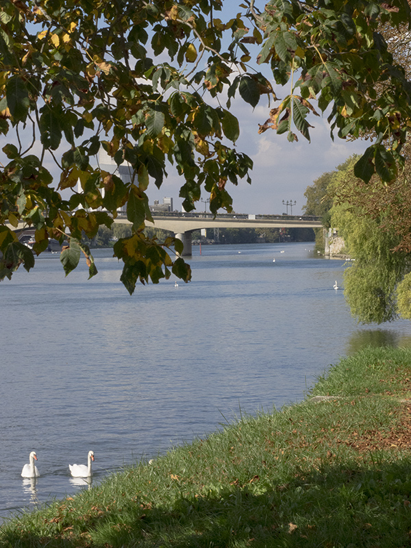 The Seine South of Paris